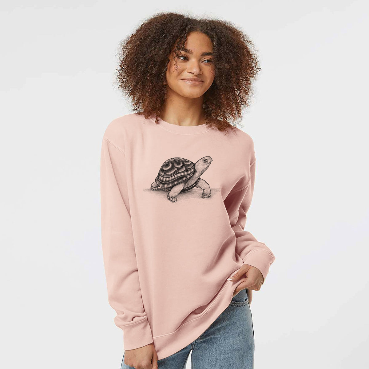 Common Box Turtle - Terrapene carolina - Unisex Pigment Dyed Crew Sweatshirt