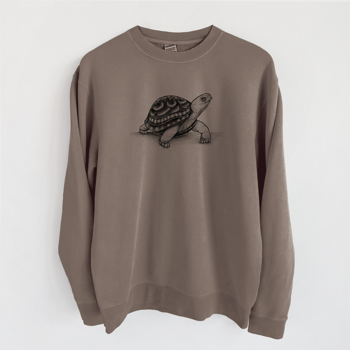 Common Box Turtle - Terrapene carolina - Unisex Pigment Dyed Crew Sweatshirt