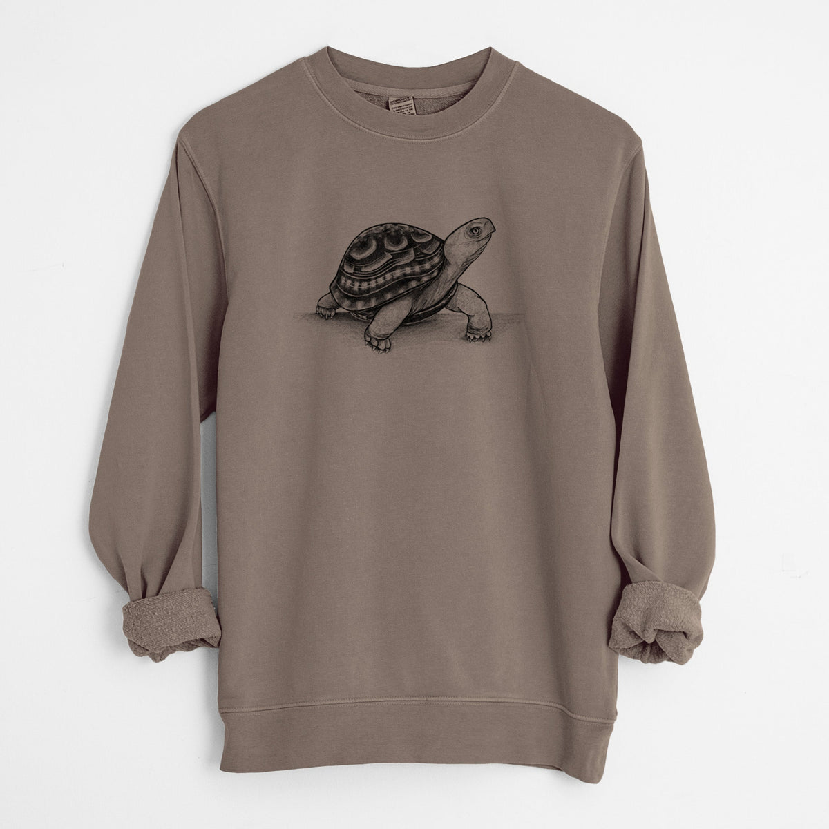 Common Box Turtle - Terrapene carolina - Unisex Pigment Dyed Crew Sweatshirt