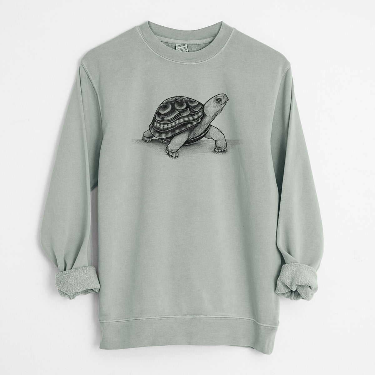 Common Box Turtle - Terrapene carolina - Unisex Pigment Dyed Crew Sweatshirt