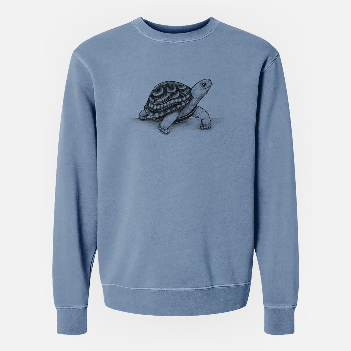 Common Box Turtle - Terrapene carolina - Unisex Pigment Dyed Crew Sweatshirt