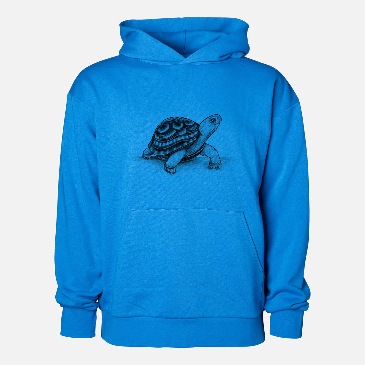Common Box Turtle - Terrapene carolina  - Statement Midweight Hoodie