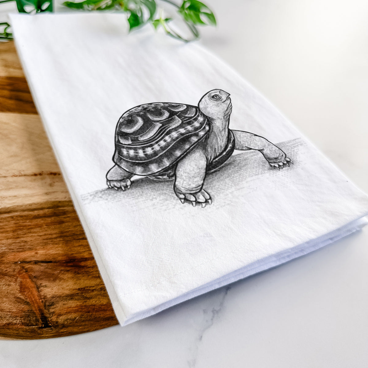 Common Box Turtle - Terrapene carolina Tea Towel