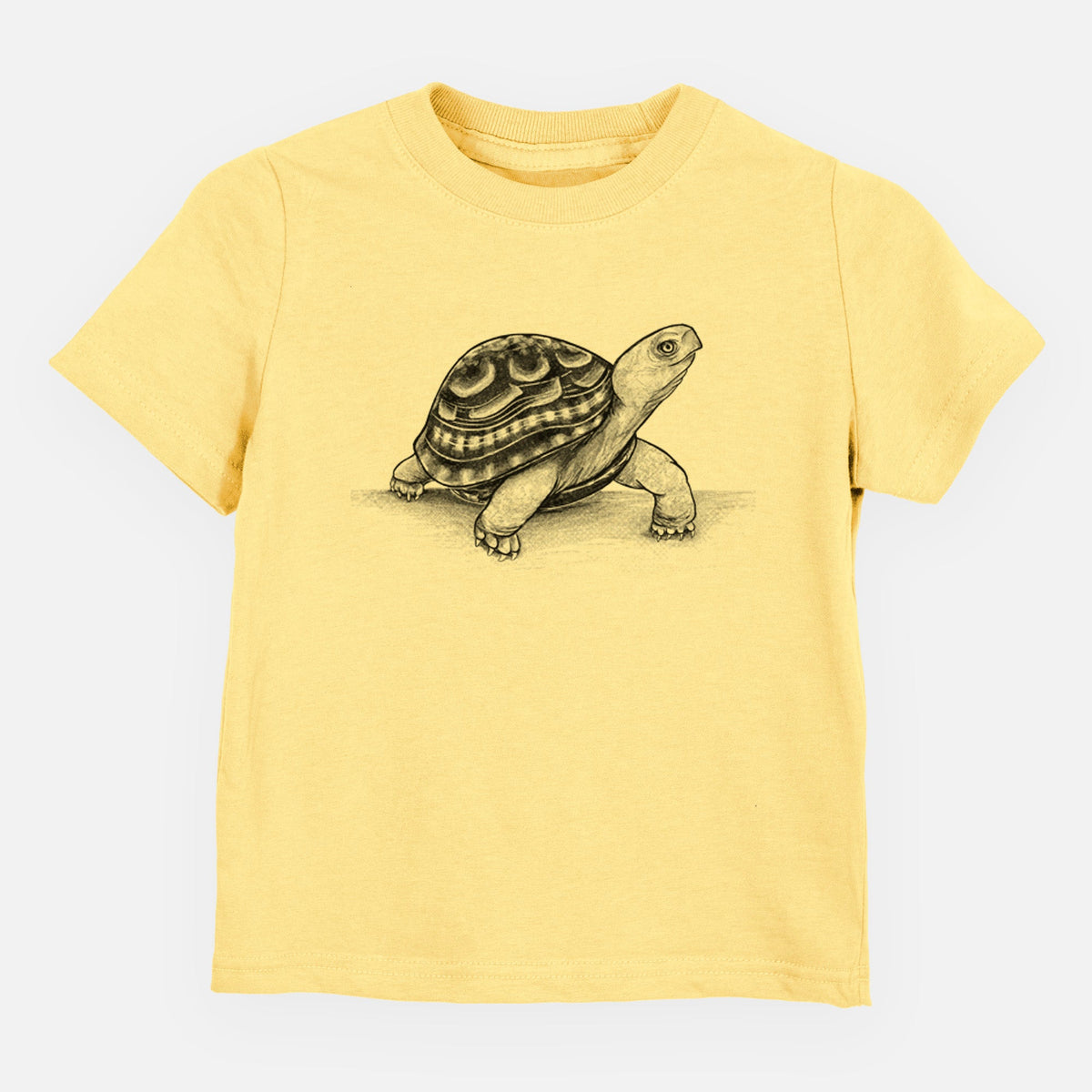 Common Box Turtle - Terrapene carolina - Toddler/Youth Shirt