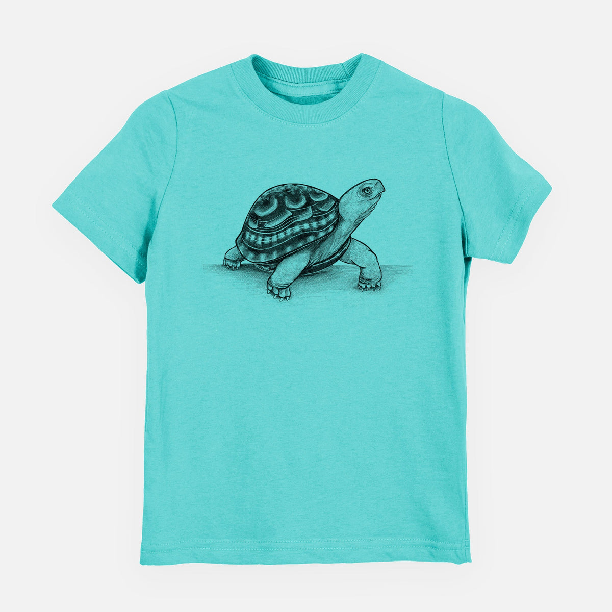 Common Box Turtle - Terrapene carolina - Toddler/Youth Shirt
