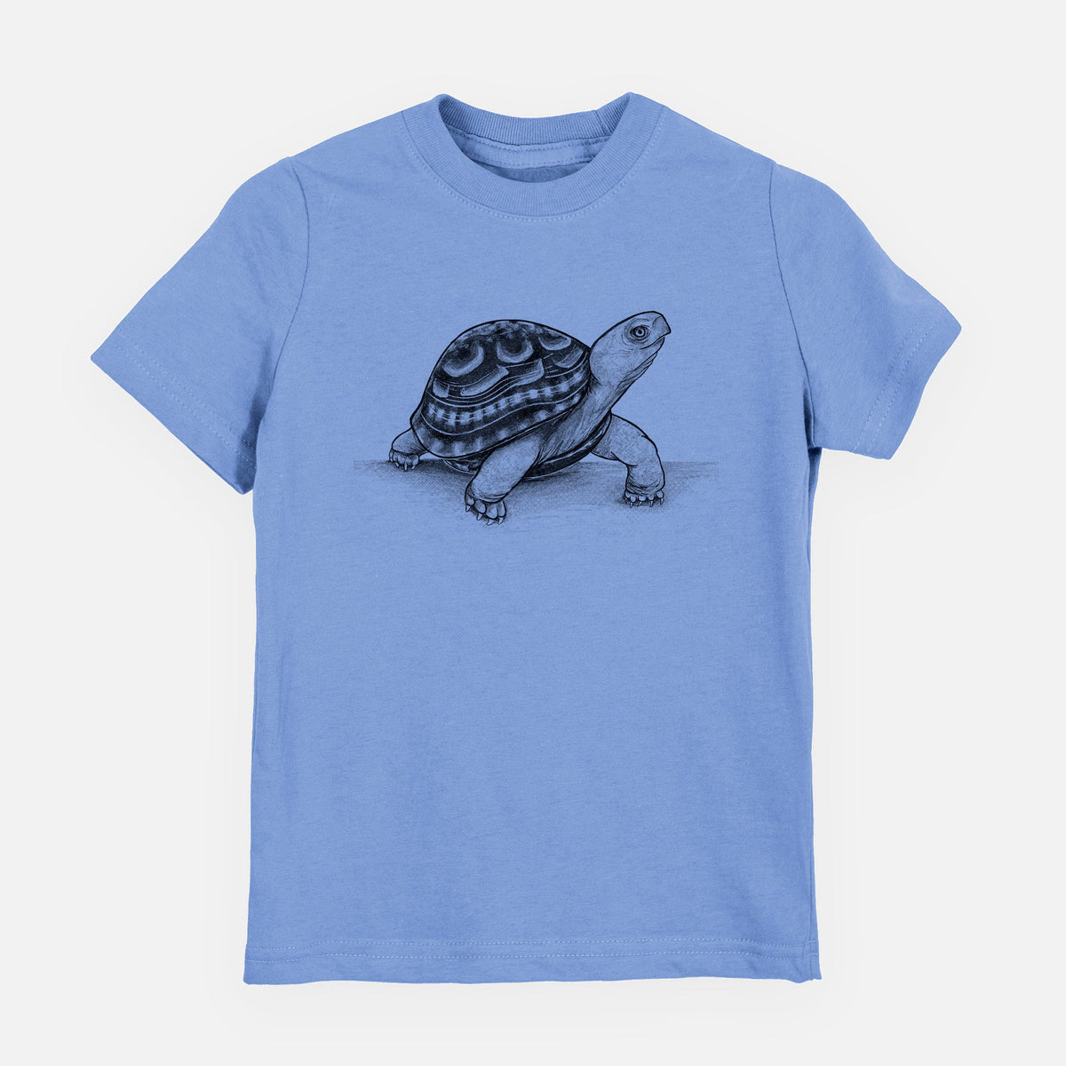 Common Box Turtle - Terrapene carolina - Toddler/Youth Shirt
