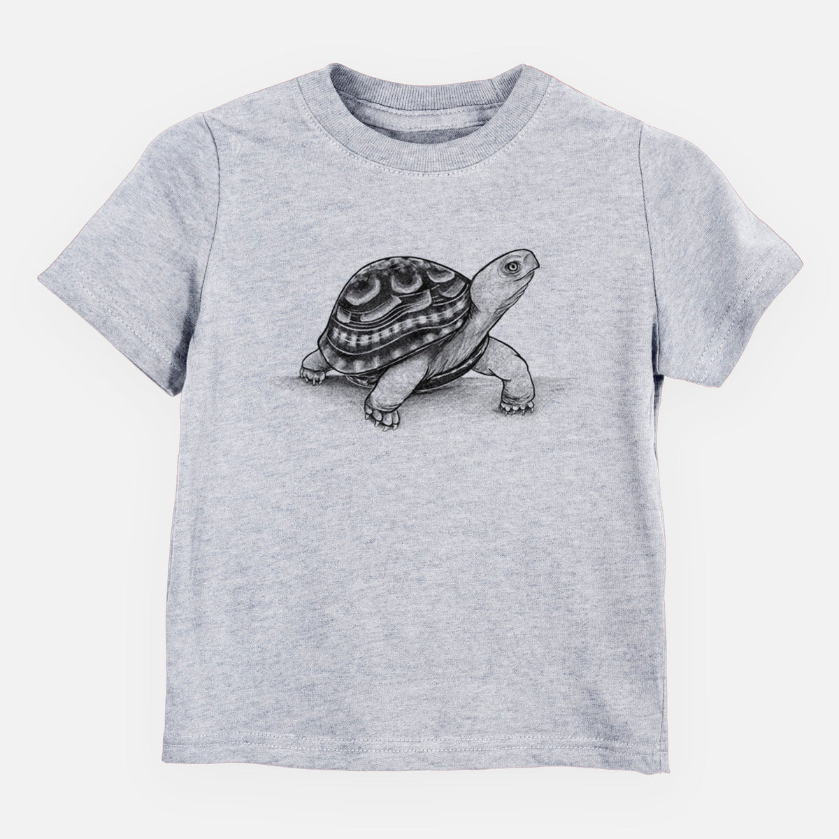 Common Box Turtle - Terrapene carolina - Toddler/Youth Shirt