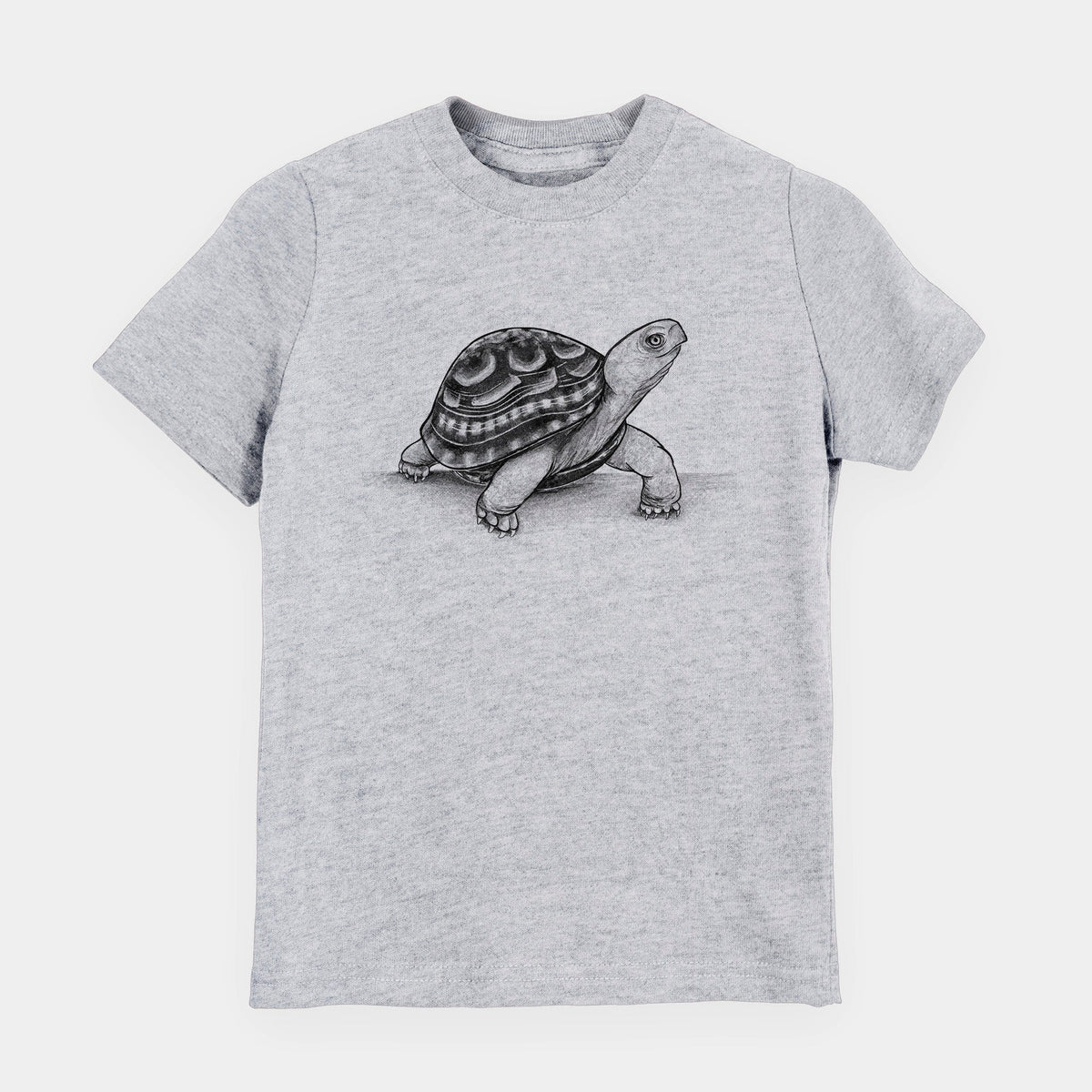 Common Box Turtle - Terrapene carolina - Toddler/Youth Shirt