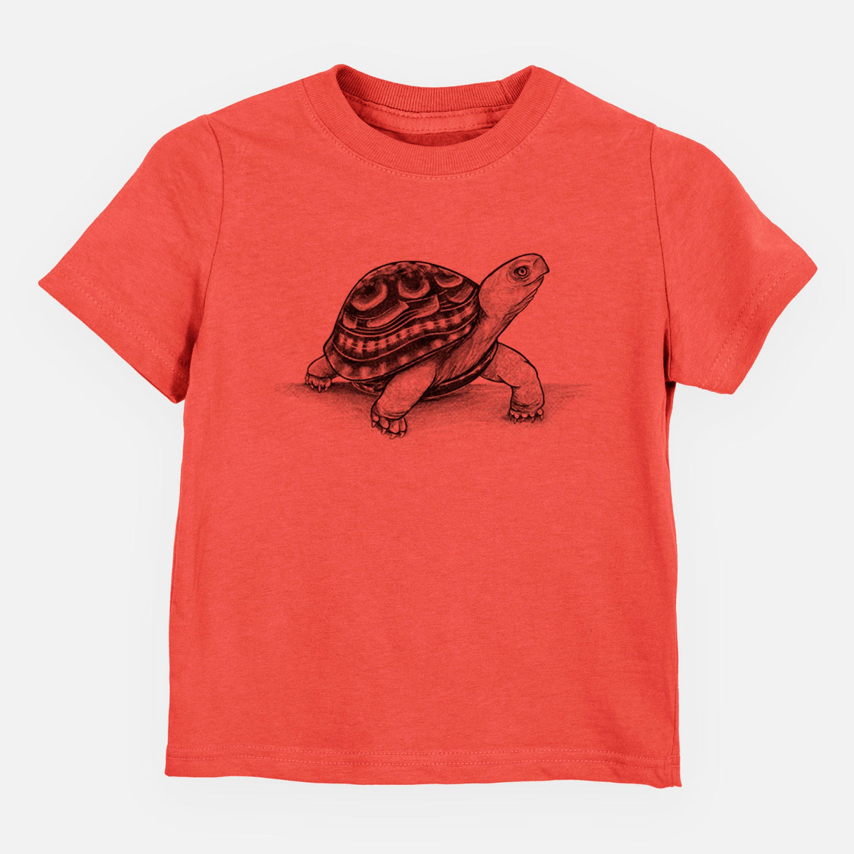 Common Box Turtle - Terrapene carolina - Toddler/Youth Shirt