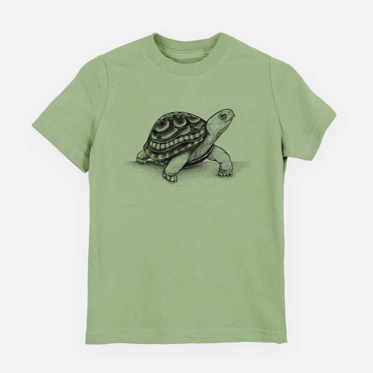 Common Box Turtle - Terrapene carolina - Toddler/Youth Shirt
