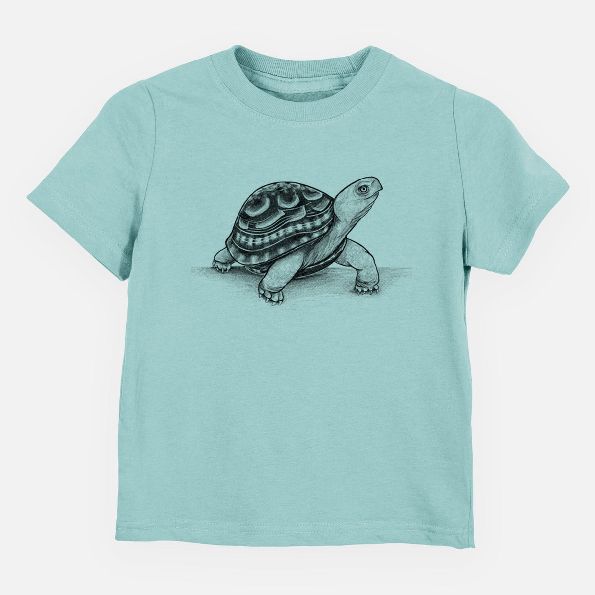 Common Box Turtle - Terrapene carolina - Toddler/Youth Shirt