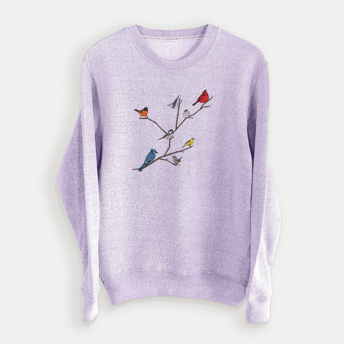 Backyard Birds Gathering - Knit Sweatshirt