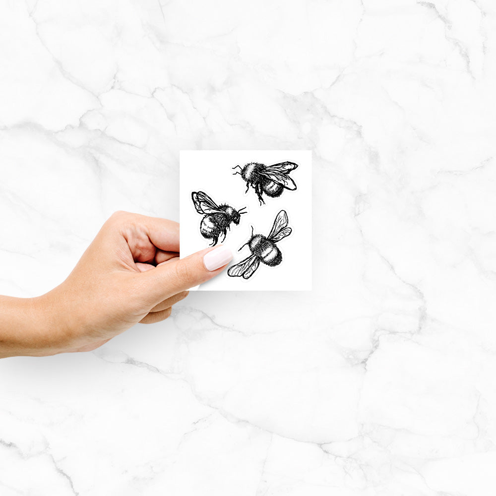 American Bumblebee Trio - Bombus Pensylvanicus - Decal Sticker
