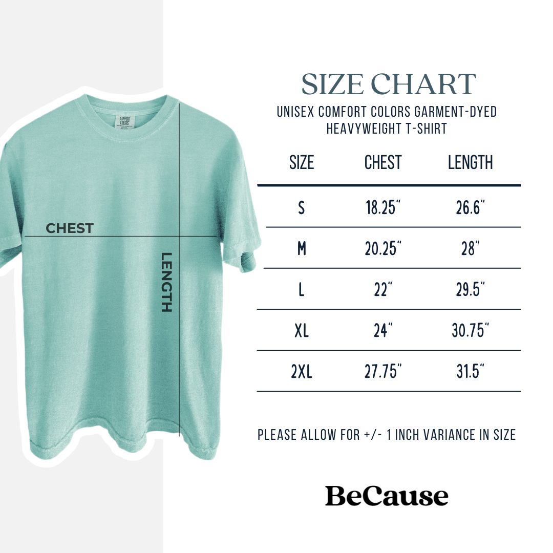 Curious Donkey - Unisex Comfort Colors Garment-Dyed Heavyweight T-shirt
