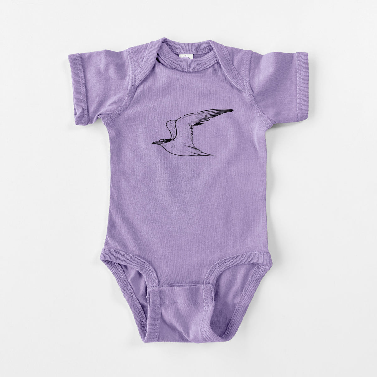 California Least Tern - Sterna antillarum browni - Baby Fine Jersey Bodysuit