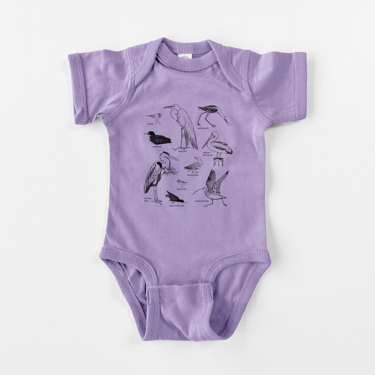 California Shorebirds - Baby Fine Jersey Bodysuit