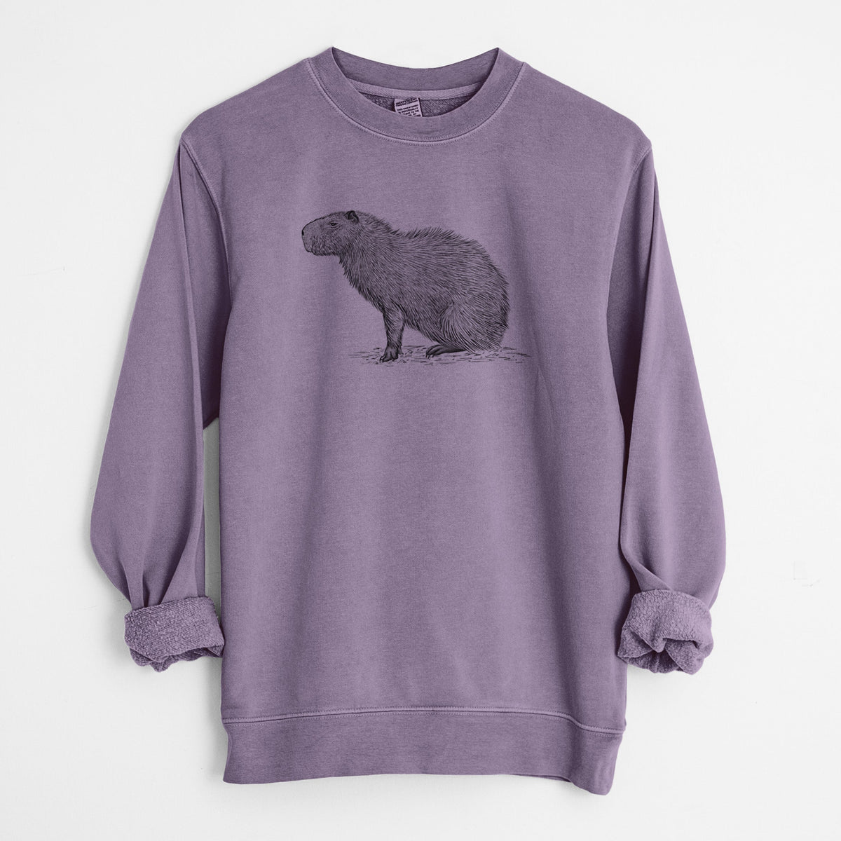Capybara Profile - Hydrochoerus hydrochaeris - Unisex Pigment Dyed Crew Sweatshirt