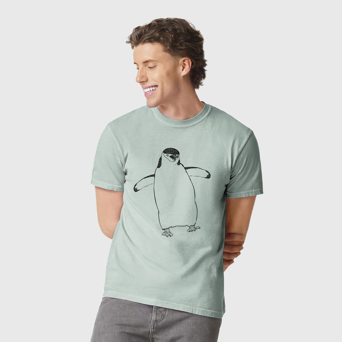 Chinstrap Penguin - Pygoscelis antarcticus - Unisex Comfort Colors Garment-Dyed Heavyweight T-shirt