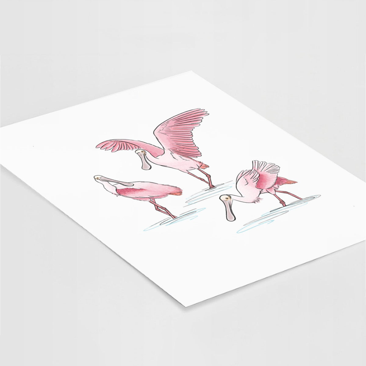 Roseate Spoonbill Trio - Platalea ajaja - Fine Art Print