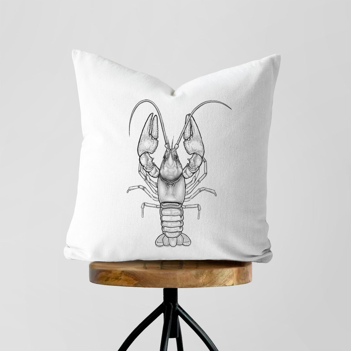 Guyandotte River Crayfish - Cambarus veteranus - Throw Pillow Cover