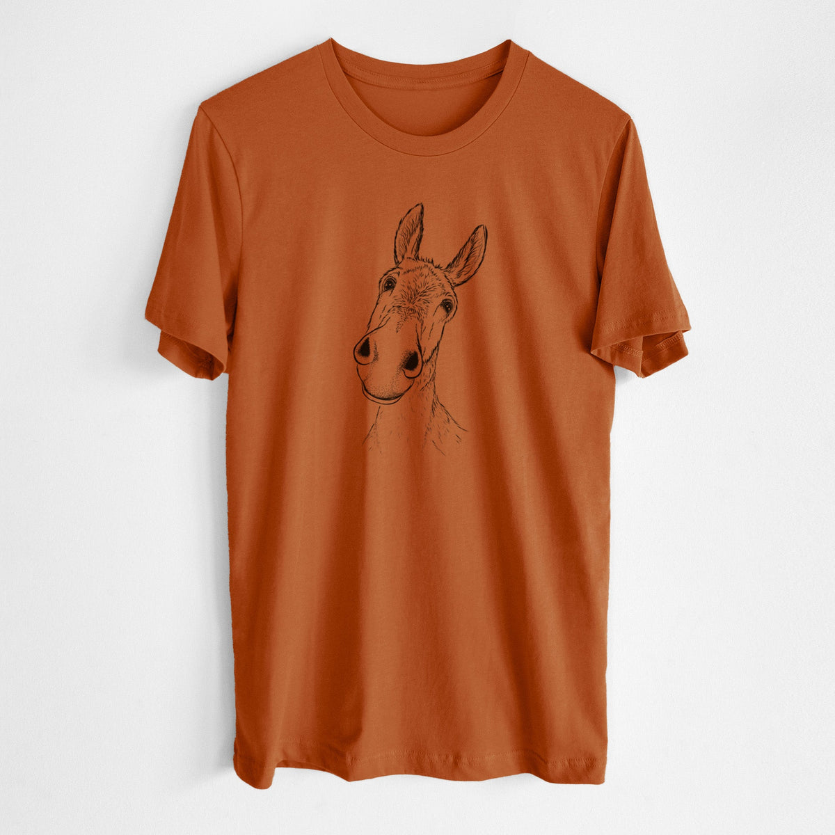 Curious Donkey - Lightweight 100% Cotton Unisex Crewneck