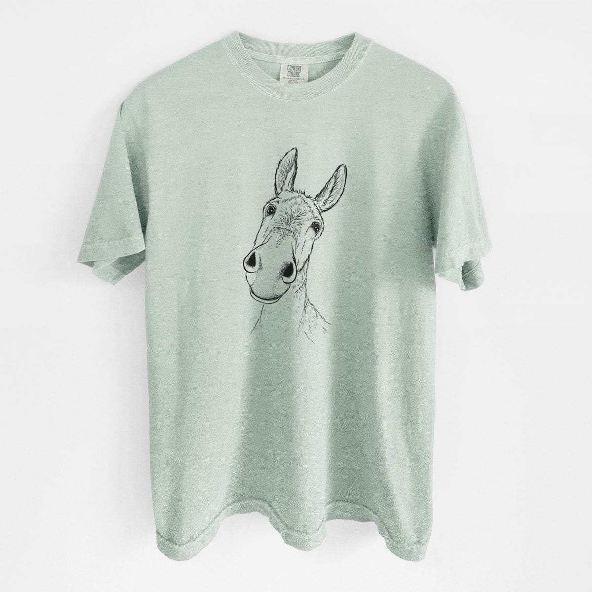 Curious Donkey - Unisex Comfort Colors Garment-Dyed Heavyweight T-shirt