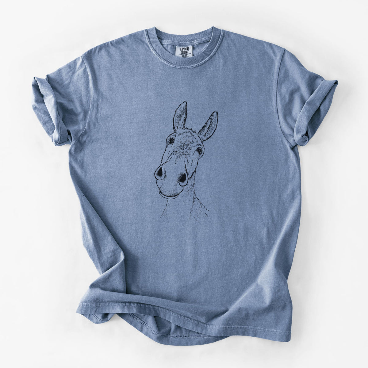 Curious Donkey - Unisex Comfort Colors Garment-Dyed Heavyweight T-shirt