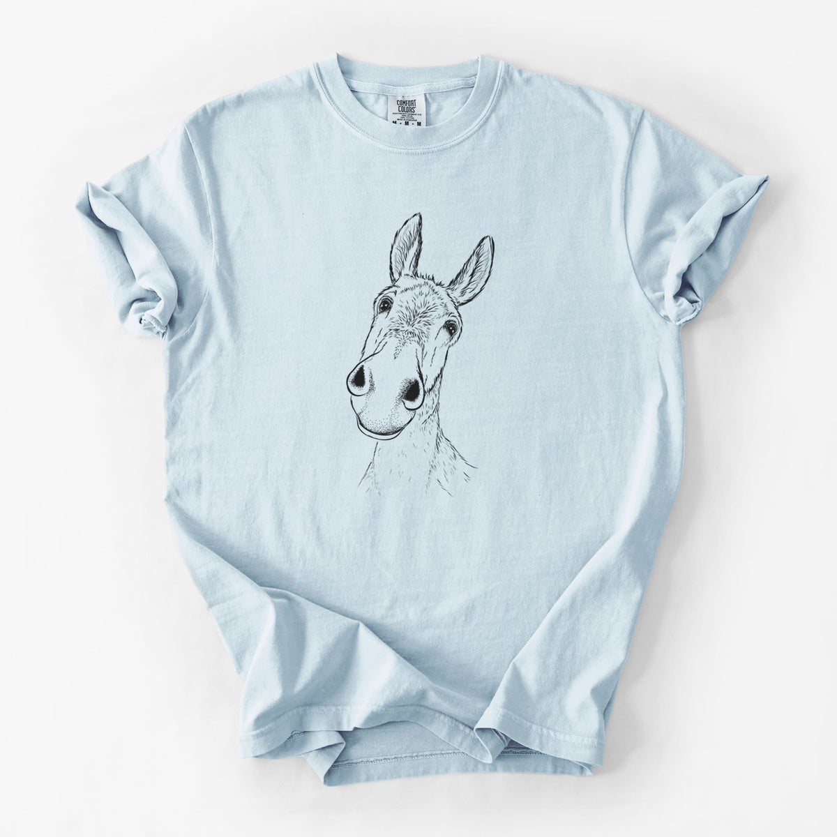Curious Donkey - Unisex Comfort Colors Garment-Dyed Heavyweight T-shirt