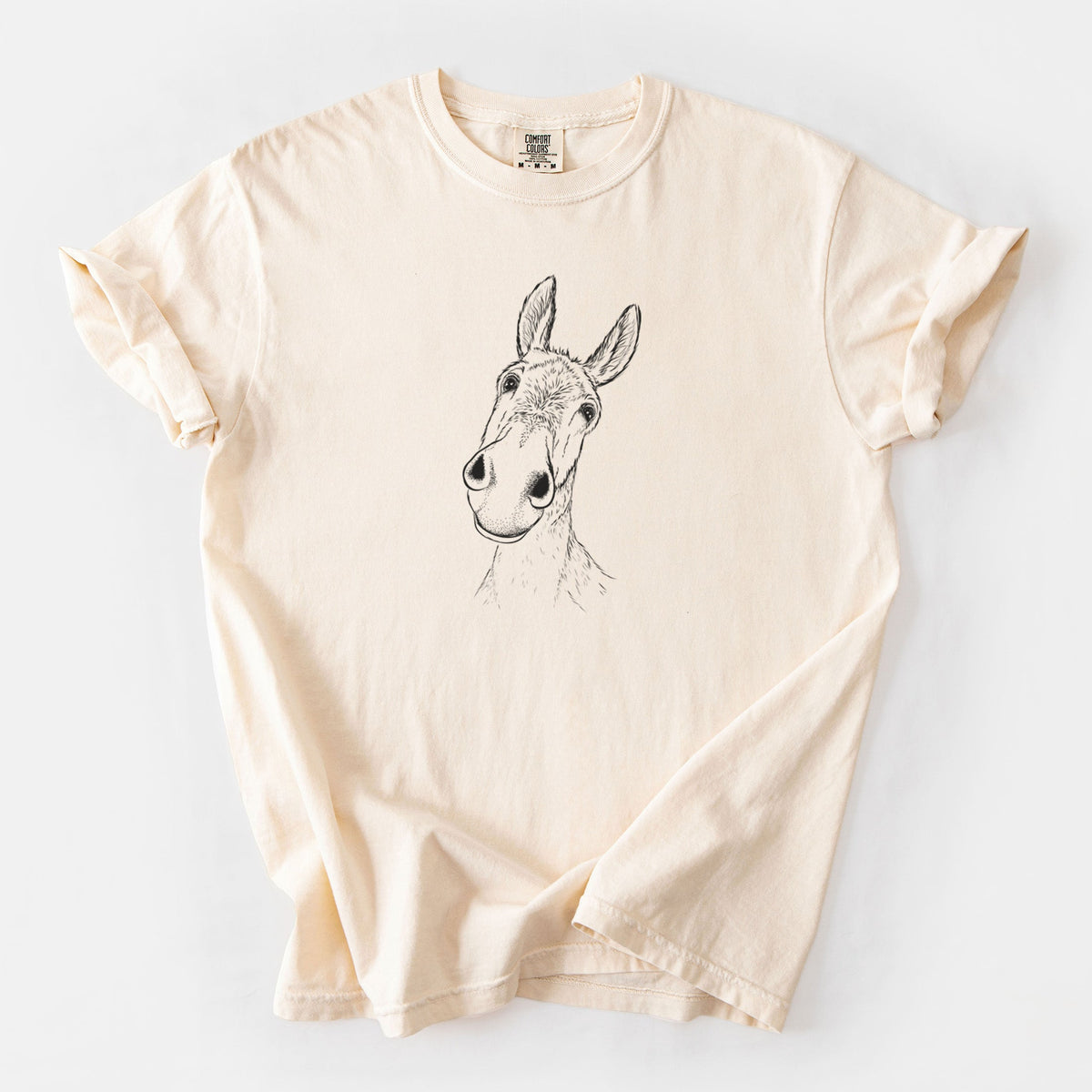 Curious Donkey - Unisex Comfort Colors Garment-Dyed Heavyweight T-shirt