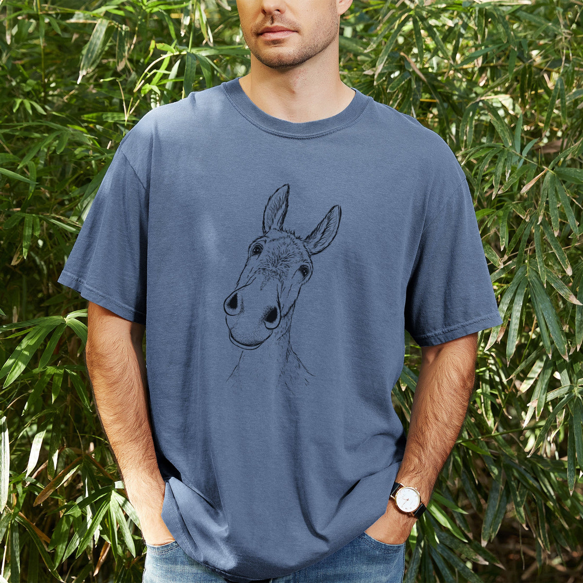 Curious Donkey - Unisex Comfort Colors Garment-Dyed Heavyweight T-shirt