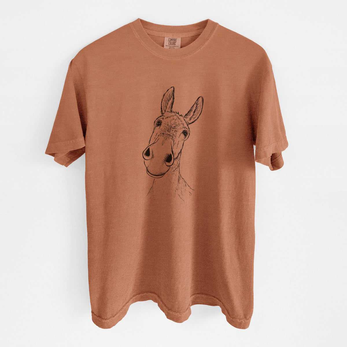 Curious Donkey - Unisex Comfort Colors Garment-Dyed Heavyweight T-shirt