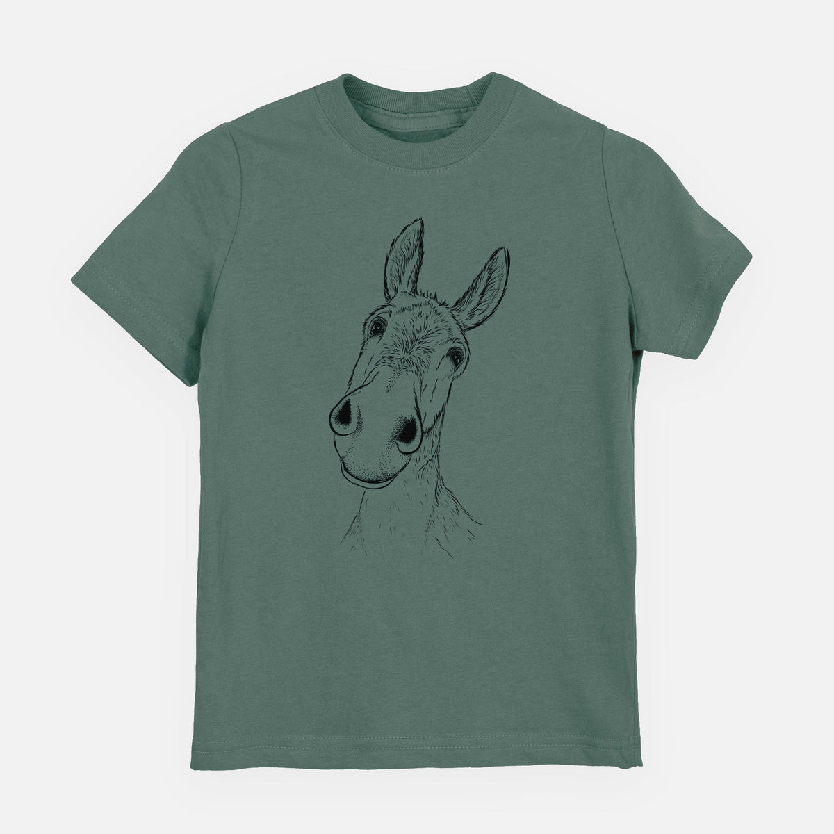 Curious Donkey - Toddler/Youth Shirt