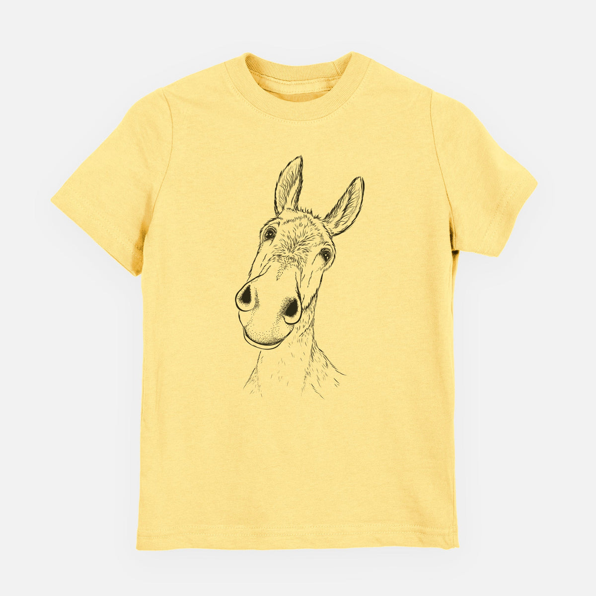 Curious Donkey - Toddler/Youth Shirt