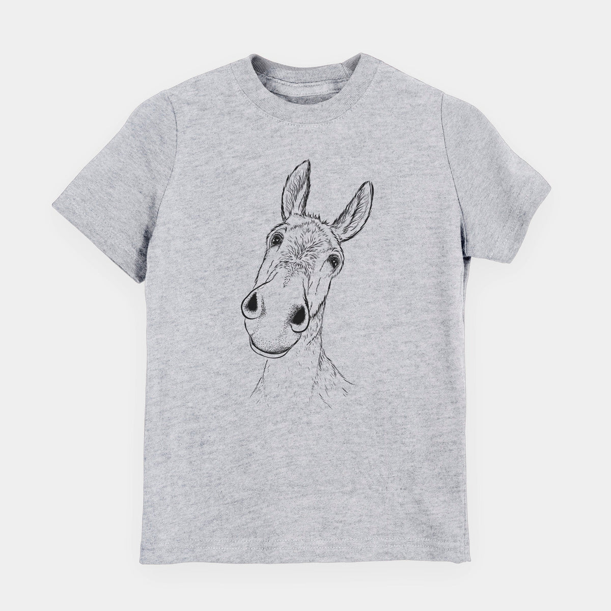 Curious Donkey - Toddler/Youth Shirt