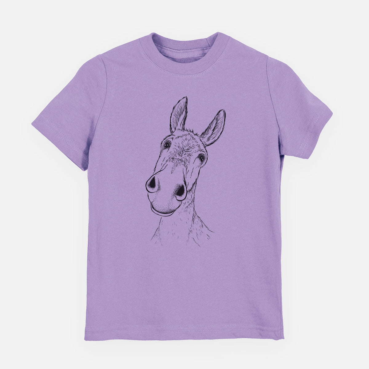 Curious Donkey - Toddler/Youth Shirt
