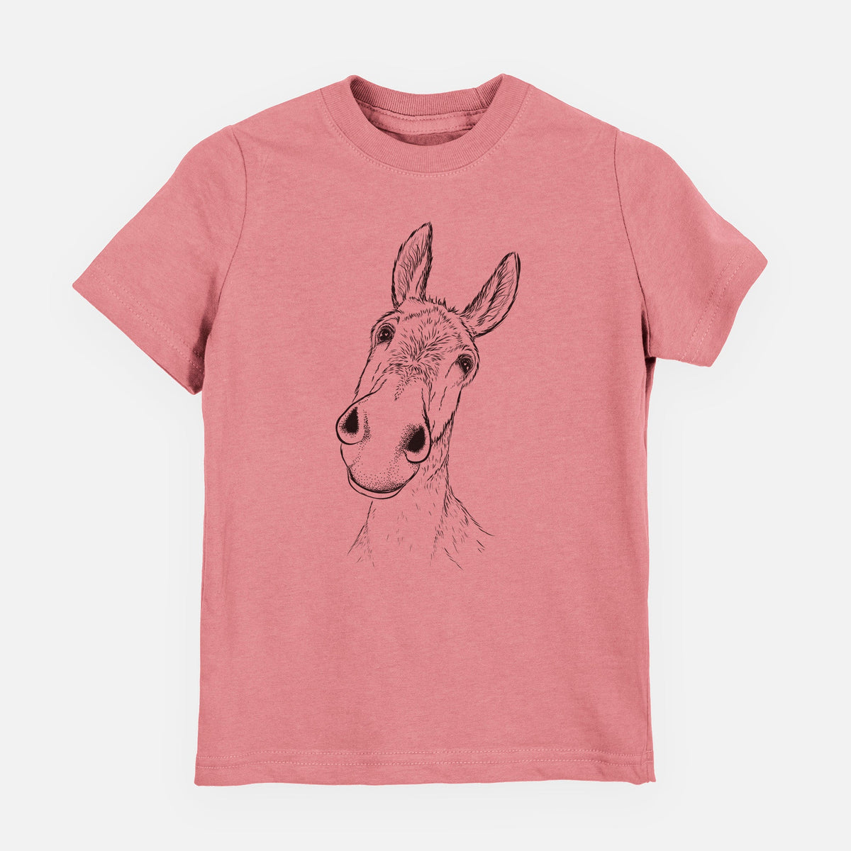 Curious Donkey - Toddler/Youth Shirt