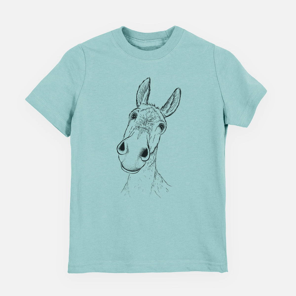 Curious Donkey - Toddler/Youth Shirt