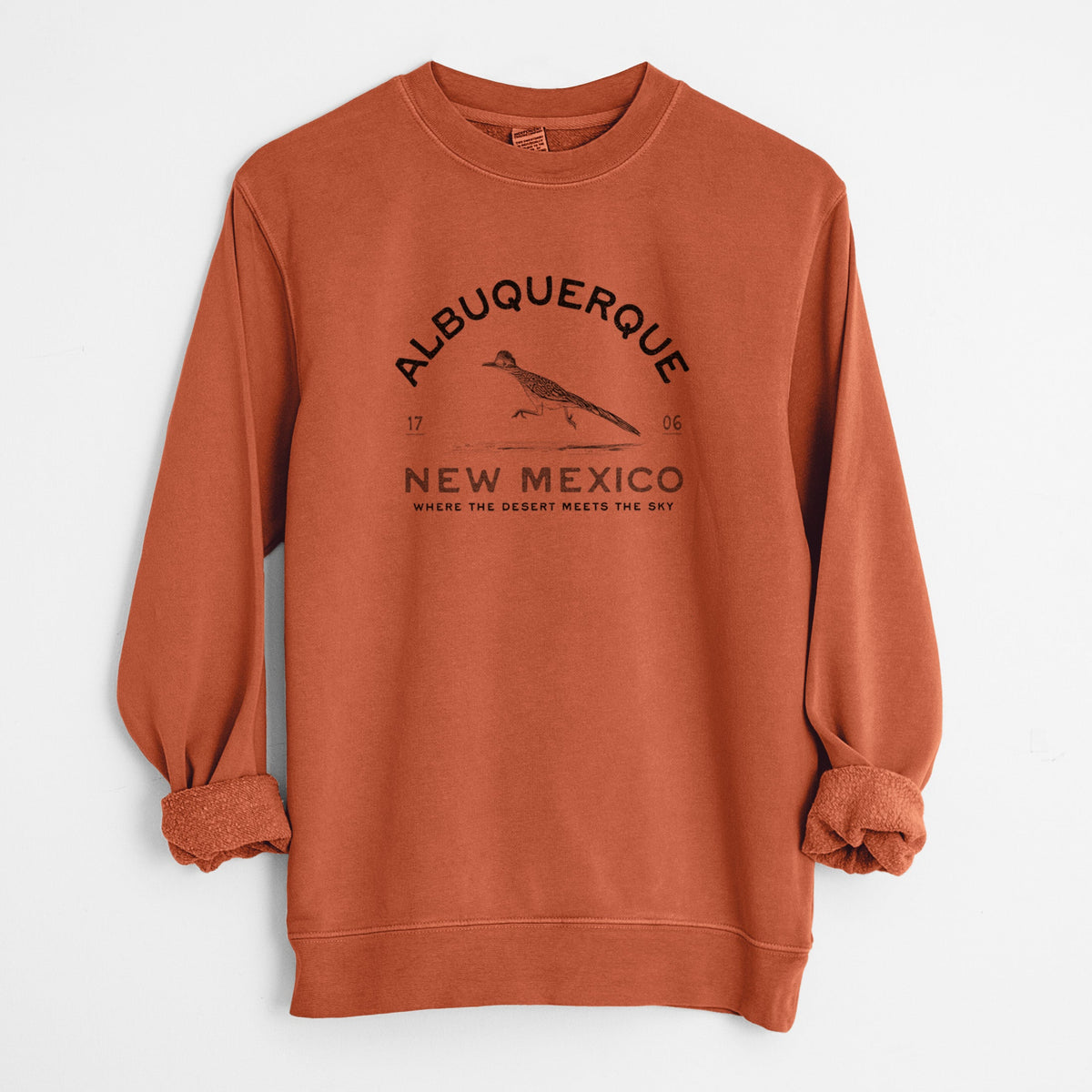 Albuquerque New Mexico Roadrunner - Unisex Pigment Dyed Crew Sweatshirt