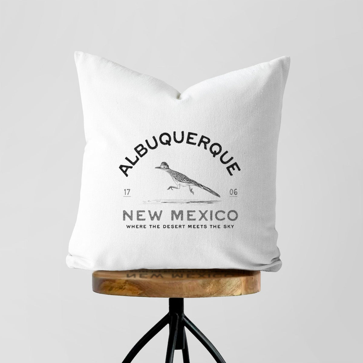 Albuquerque New Mexico Roadrunner - Throw Pillow Cover