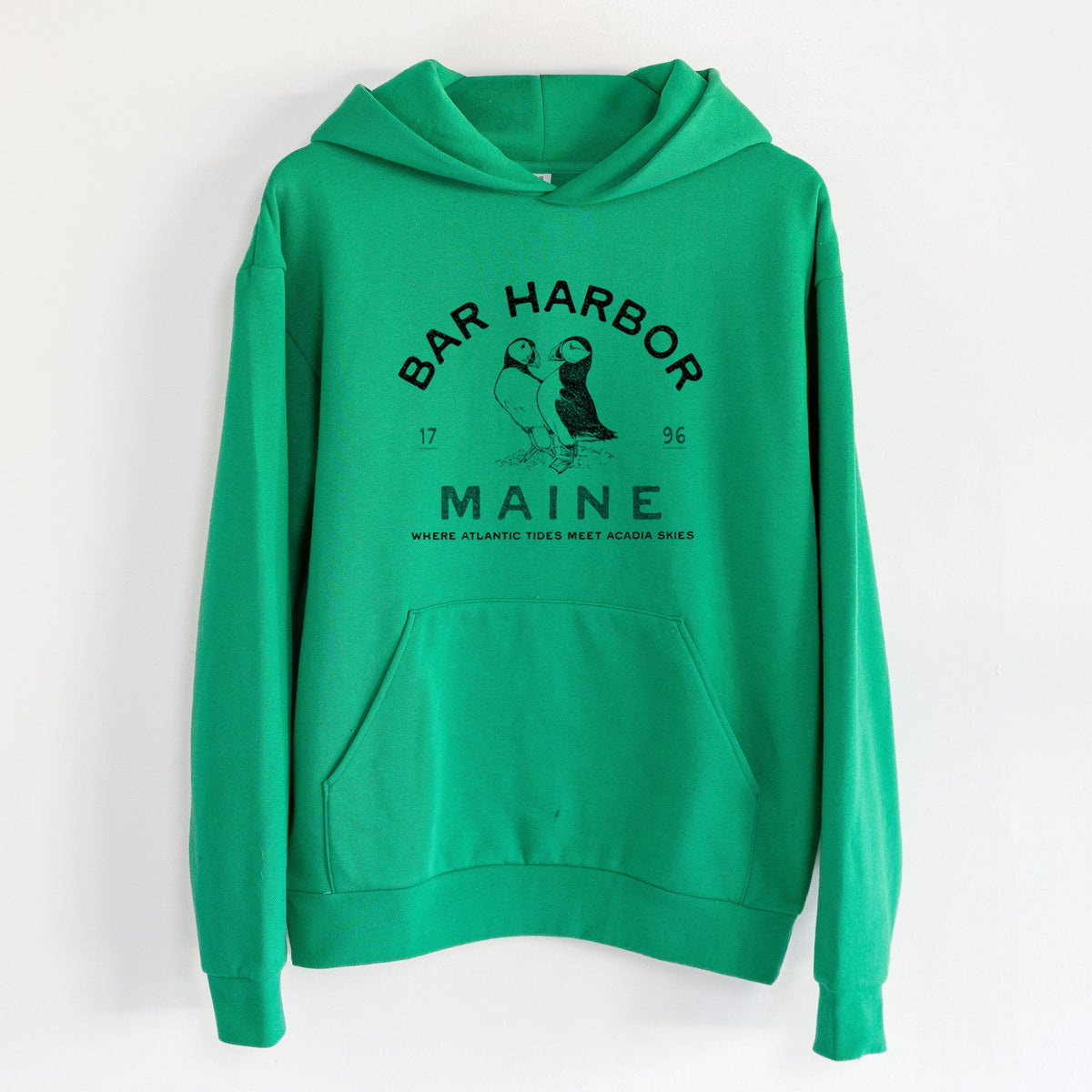 Bar Harbor Maine - Atlantic Puffins  - Statement Midweight Hoodie