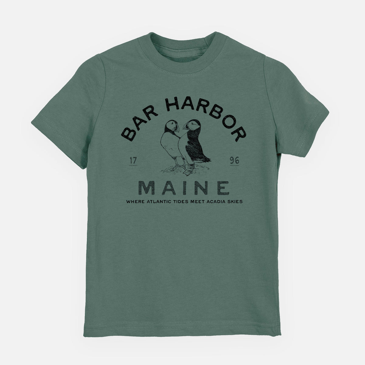Bar Harbor Maine - Atlantic Puffins - Toddler/Youth Shirt