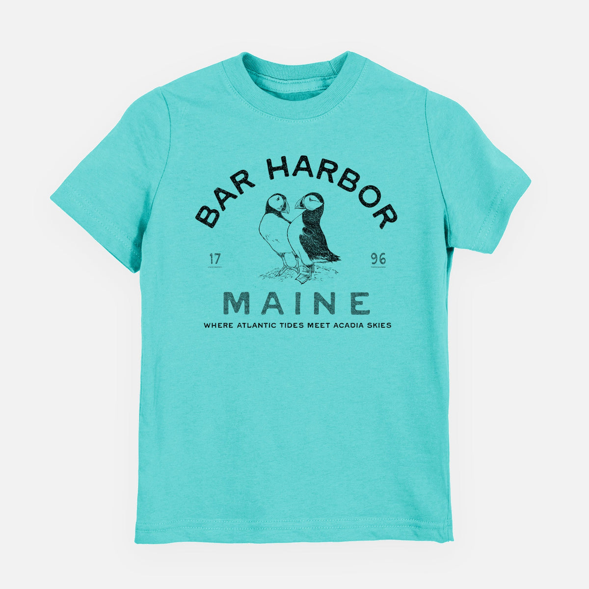 Bar Harbor Maine - Atlantic Puffins - Toddler/Youth Shirt