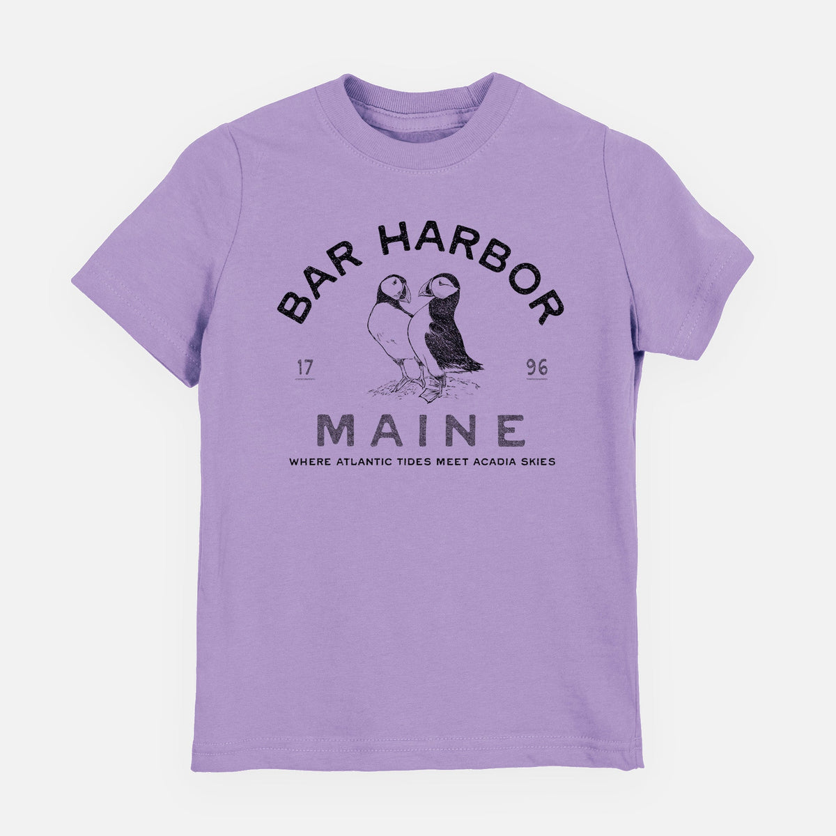 Bar Harbor Maine - Atlantic Puffins - Toddler/Youth Shirt