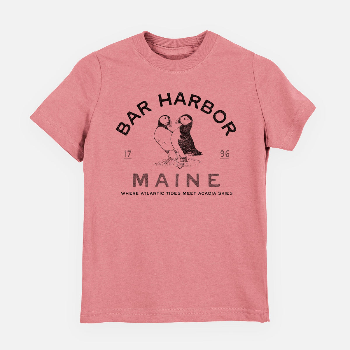 Bar Harbor Maine - Atlantic Puffins - Toddler/Youth Shirt