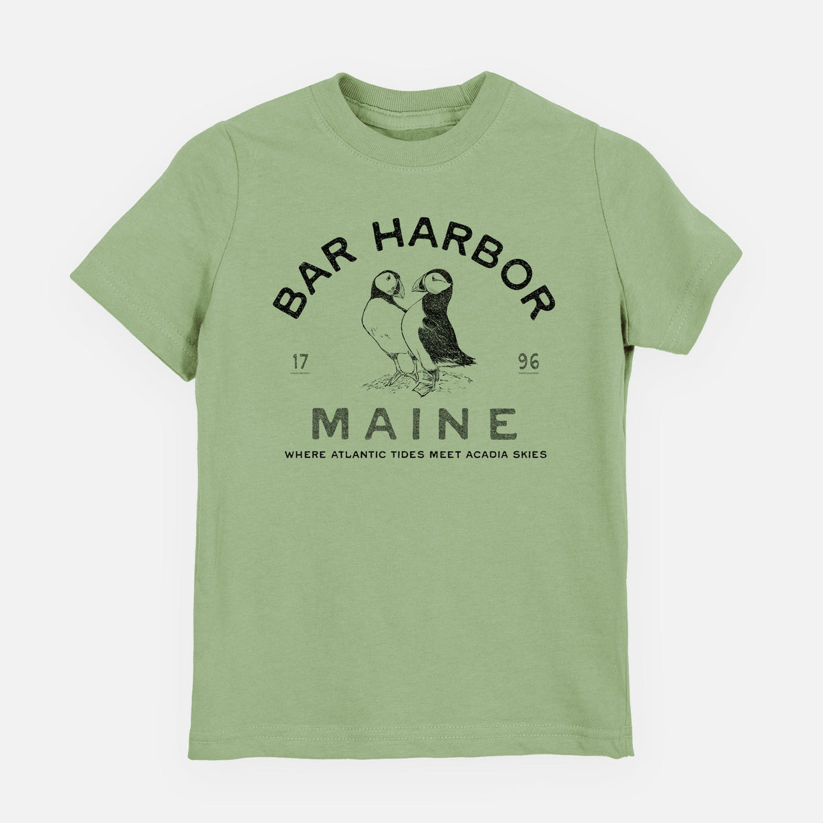 Bar Harbor Maine - Atlantic Puffins - Toddler/Youth Shirt