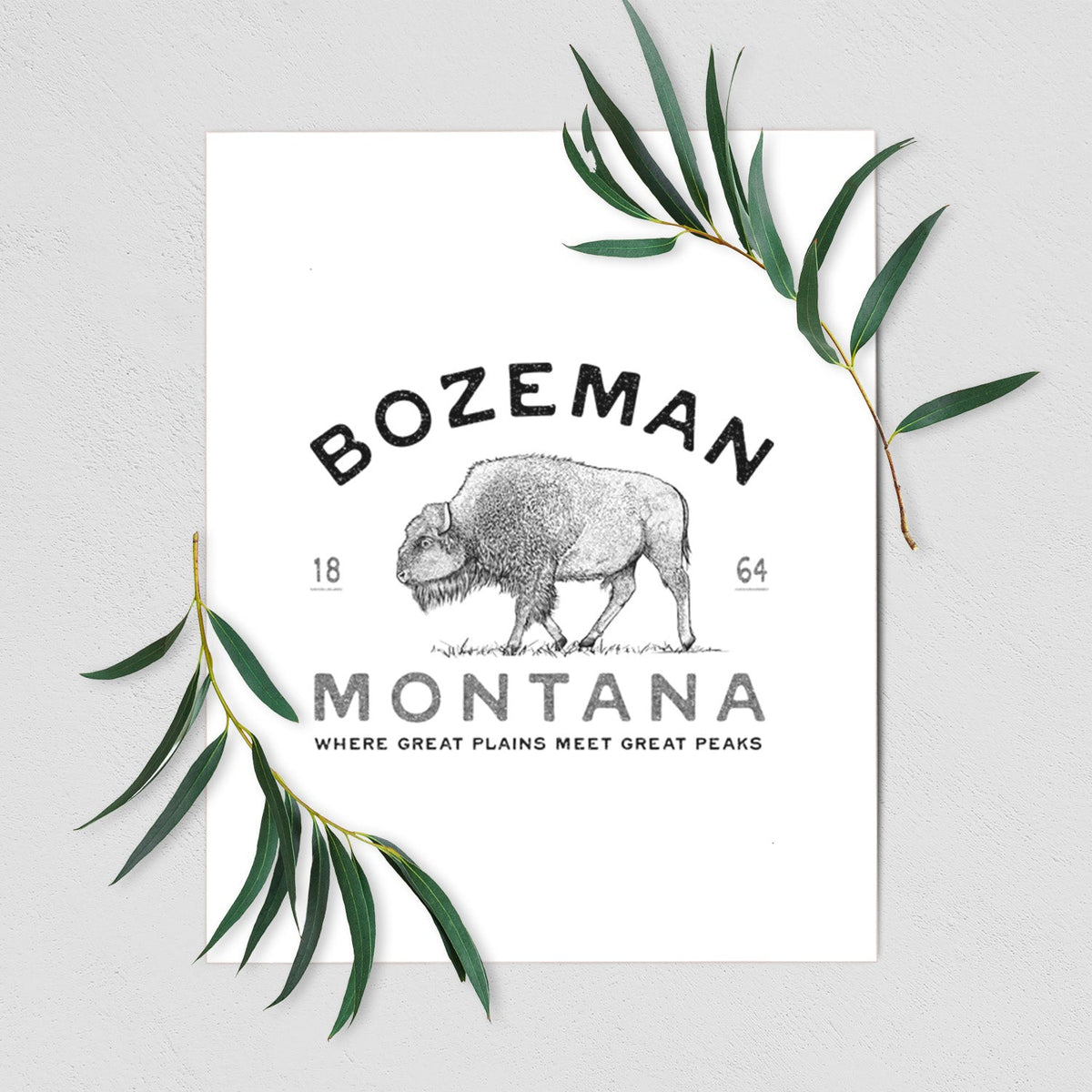 Bozeman Montana Bison - Fine Art Print