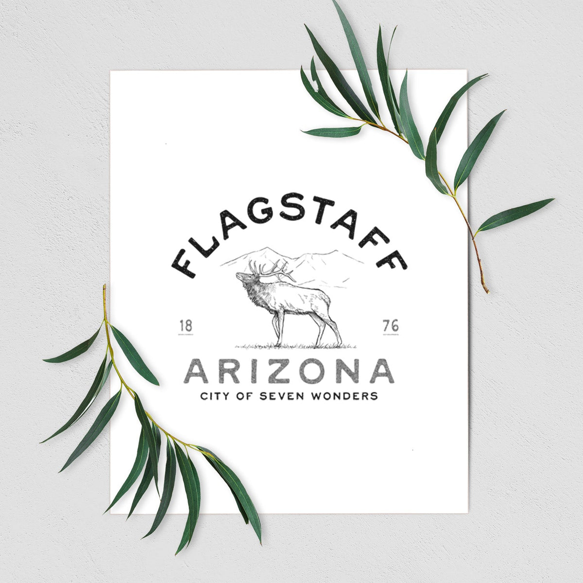 Flagstaff Arizona Elk - Fine Art Print