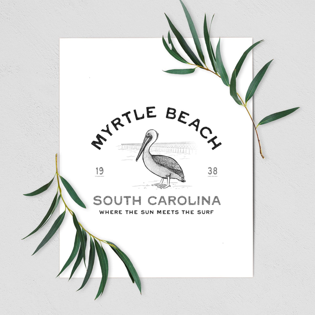 Myrtle Beach Pelican - Fine Art Print