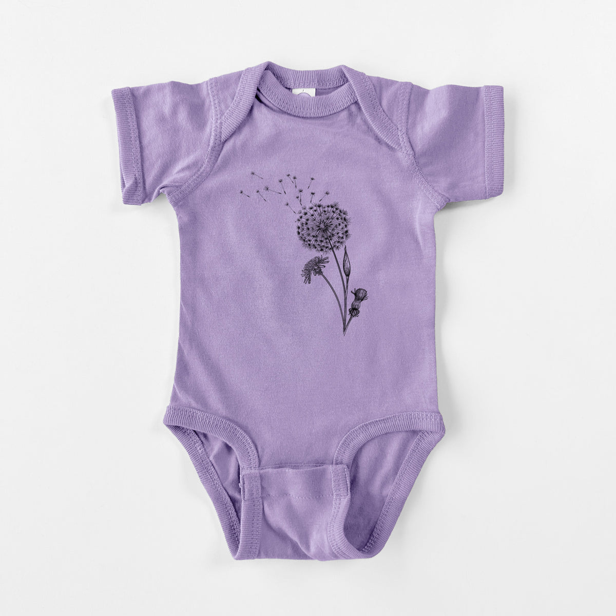 Common Dandelion - Taraxacum officinale - Baby Fine Jersey Bodysuit