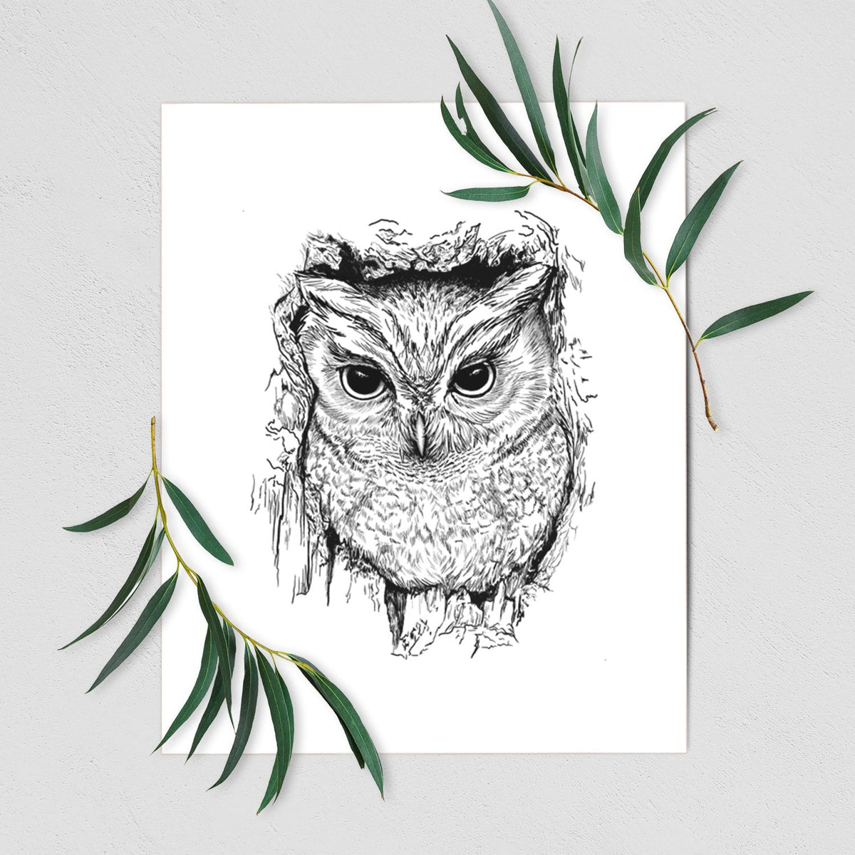 Eastern Screech Owl - Megascops asio - Fine Art Print